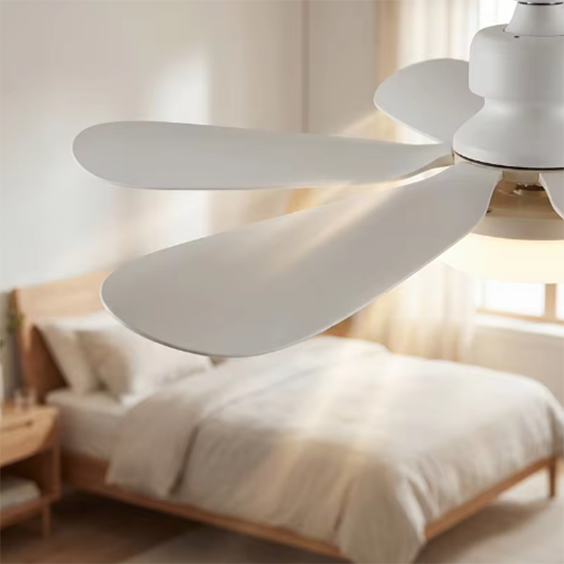 2026 E27 LED Ceiling Fan Light - Ceiling Fan Mount ulasan dan harga